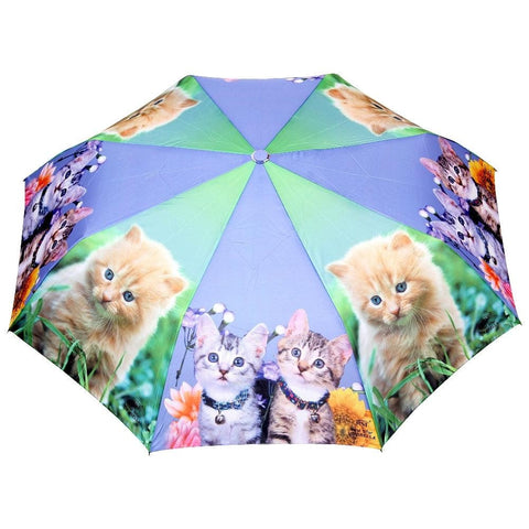 FabSeasons Cute Cats and Kittens Teddy Print 3 fold Blue Umbrella