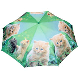 FabSeasons Cute Cats and Kittens Teddy Print 3 fold Yellow Umbrella freeshipping - FABSEASONS