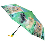 FabSeasons Cute Cats and Kittens Teddy Print 3 fold Yellow Umbrella freeshipping - FABSEASONS