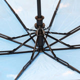FabSeasons Roma Printed 3 fold Umbrella for Rains and all Seasons